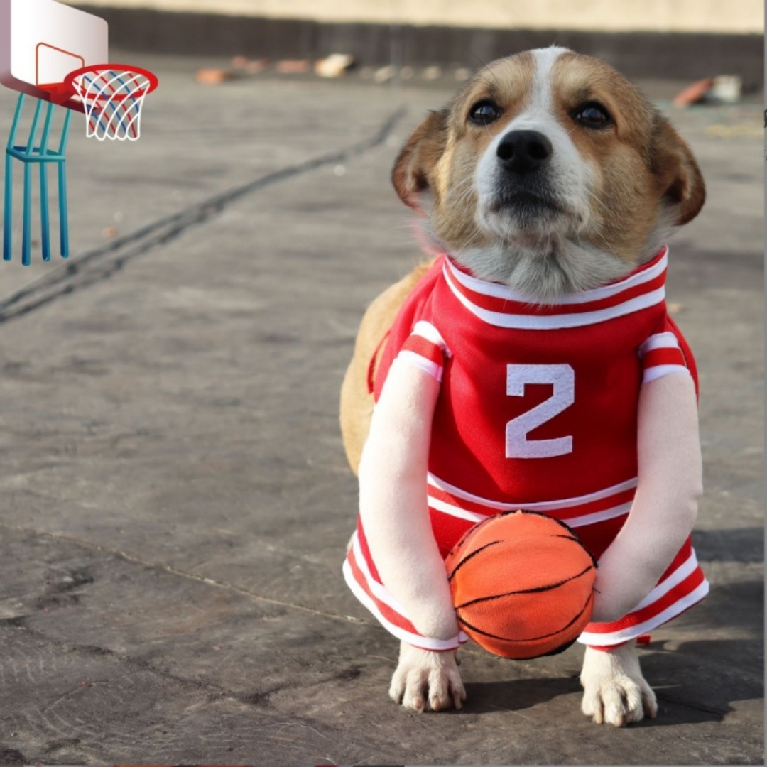Pet Basketball Sports Uniform  Jersey Costume for Dogs